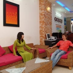 Отель Sen Vang Guesthouse интерьер отеля
