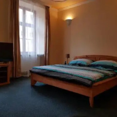 Hotel Barbarossa Хеб комната для гостей фото 2