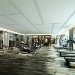 DoubleTree by Hilton Hotel Shenzhen Longhua фитнесс-зал фото 2