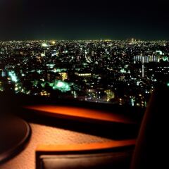 Отель Metropolitan Tokyo Ikebukuro Япония, Токио - отзывы, цены и фото номеров - забронировать отель Metropolitan Tokyo Ikebukuro онлайн балкон