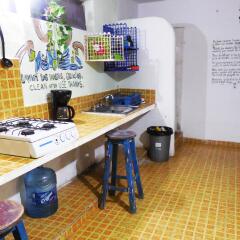 Отель Xaman Eco-Hostel Мексика, Плая-дель-Кармен - отзывы, цены и фото номеров - забронировать отель Xaman Eco-Hostel онлайн развлечения