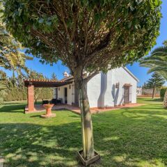 Отель Hacienda Roche Viejo Испания, Кониль-де-ла-Фронтера - отзывы, цены и фото номеров - забронировать отель Hacienda Roche Viejo онлайн фото 19