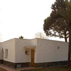 Отель Bungalows Papalús Испания, Льорет-де-Мар - отзывы, цены и фото номеров - забронировать отель Bungalows Papalús онлайн фото 9