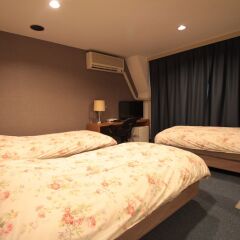 Asakusa Town Hotel комната для гостей фото 4