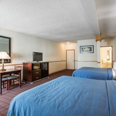 Отель Quality Inn Mammoth Маммот-Лейкс с домашними животными
