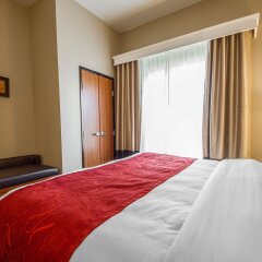 Comfort Suites Redding - Shasta Lake in Redding, United States of America from 160$, photos, reviews - zenhotels.com guestroom