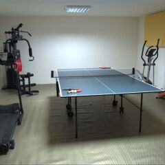 Отель Pirina Club Family Hotel Болгария, Банско - отзывы, цены и фото номеров - забронировать отель Pirina Club Family Hotel онлайн фитнесс-зал