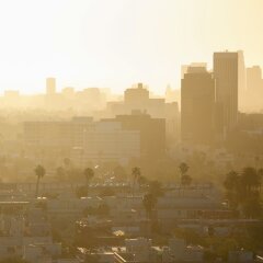 Отель Beverly Wilshire, A Four Seasons Hotel США, Беверли Хиллс - отзывы, цены и фото номеров - забронировать отель Beverly Wilshire, A Four Seasons Hotel онлайн фото 14