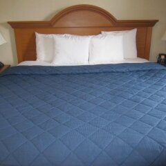 Отель Comfort Inn JFK Airport США, Нью-Йорк - 1 отзыв об отеле, цены и фото номеров - забронировать отель Comfort Inn JFK Airport онлайн комната для гостей фото 4