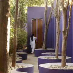 Отель The Roseate New Delhi фитнесс-зал