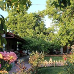 Бутик-отель Ephesus Lodge фото 9