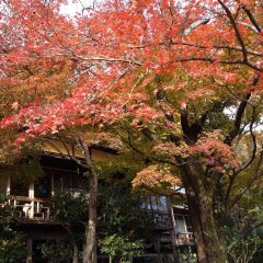 Отель Cultural Property Of Japan Senzairo Йоро фото 5