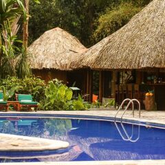 Отель The Lodge at Pico Bonito с домашними животными