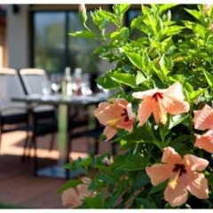 Duna Garden Hotel питание