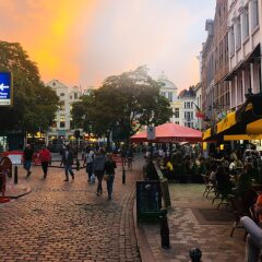 Отель Madeleine Budget Rooms Grand Place развлечения