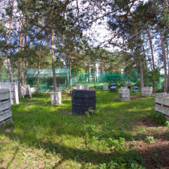 Гостиница Green Park в Калуге 11 отзывов об отеле, цены и фото номеров - забронировать гостиницу Green Park онлайн Калуга фото 13