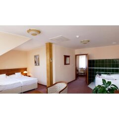 Отель Wellness Hotel Ida Чехия, Франтишкови-Лазне - отзывы, цены и фото номеров - забронировать отель Wellness Hotel Ida онлайн комната для гостей фото 2