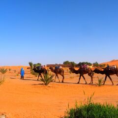 Отель Auberge Africa Марокко, Мерзуга - отзывы, цены и фото номеров - забронировать отель Auberge Africa онлайн спортивное сооружение
