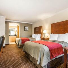 Отель Comfort Inn Near Pasadena Civic Auditorium США, Пасадена - отзывы, цены и фото номеров - забронировать отель Comfort Inn Near Pasadena Civic Auditorium онлайн комната для гостей фото 3