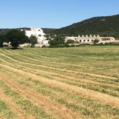 Отель Masseria Pilano Италия, Криспьяно - отзывы, цены и фото номеров - забронировать отель Masseria Pilano онлайн фото 15