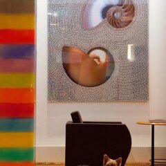 Отель Golden Tulip Opera De Noailles Франция, Париж - 1 отзыв об отеле, цены и фото номеров - забронировать отель Golden Tulip Opera De Noailles онлайн с домашними животными