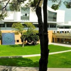 Отель Swissotel Buyuk Efes Izmir фото 11