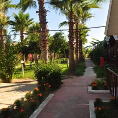 Отель Dream Park Bungalov Otel фото 2