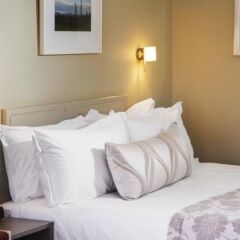 Отель Fairley Motor Lodge Новая Зеландия, Нейпир - отзывы, цены и фото номеров - забронировать отель Fairley Motor Lodge онлайн комната для гостей фото 2