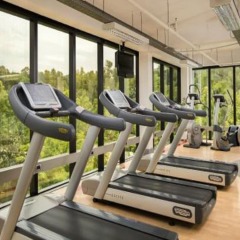 Отель Mak Albania Hotel Албания, Тирана - отзывы, цены и фото номеров - забронировать отель Mak Albania Hotel онлайн фитнесс-зал