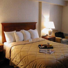 Comfort Hotel Airport North In Toronto Canada From 87 Photos