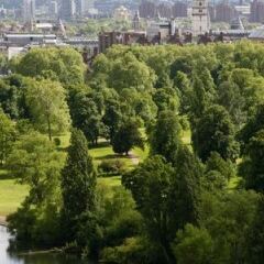 Отель Lancaster London Великобритания, Лондон - 1 отзыв об отеле, цены и фото номеров - забронировать отель Lancaster London онлайн фото 5