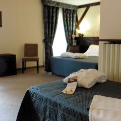 Chalet du Lys Hotel с домашними животными