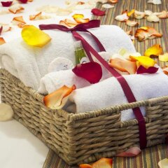 Отель Chalet del Carmen Coyoacán Мексика, Мехико - отзывы, цены и фото номеров - забронировать отель Chalet del Carmen Coyoacán онлайн помещение для мероприятий