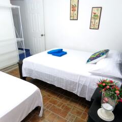 Отель Hostal Pajara Pinta комната для гостей фото 2