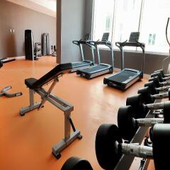 Elite Hotels Darica Spa & Convention Center Турция, Гебзе - отзывы, цены и фото номеров - забронировать отель Elite Hotels Darica Spa & Convention Center онлайн фитнесс-зал фото 2