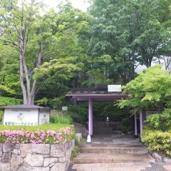 Отель Kinugawa Park Hotels Park Cottage Никко фото 6