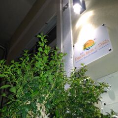 Отель B&B Dimora Lucia e Dalila Конверсано