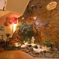 Отель Green Garden Homestay интерьер отеля фото 2