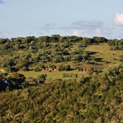 Отель Buddha Peaceful Oasis Алкасер-ду-Сал фото 10