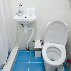 Гостиница GuestHouse WhiteNight в Санкт-Петербурге 2 отзыва об отеле, цены и фото номеров - забронировать гостиницу GuestHouse WhiteNight онлайн Санкт-Петербург ванная