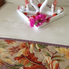Отель Palm View Guesthouse And Conference Centre Монтего-Бей питание
