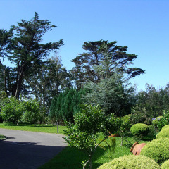 Отель Quinta Cova do Milho