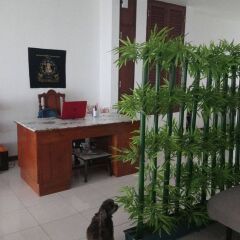 Отель Taina's Home интерьер отеля фото 2