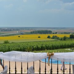 Отель Chateau-Hotel Trendafiloff Болгария, Димитровград - отзывы, цены и фото номеров - забронировать отель Chateau-Hotel Trendafiloff онлайн балкон