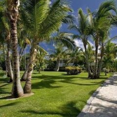 Отель Catalonia Punta Cana - All Inclusive фото 7