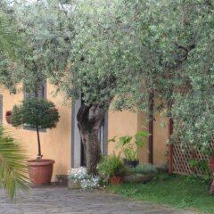 Отель Villa Baiera фото 8
