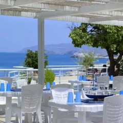Отель Bali Beach Hotel & Village Греция, Милопотамос - 1 отзыв об отеле, цены и фото номеров - забронировать отель Bali Beach Hotel & Village онлайн питание фото 2