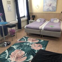 Отель Luleå Bed & Breakfast Швеция, Лулео - отзывы, цены и фото номеров - забронировать отель Luleå Bed & Breakfast онлайн комната для гостей фото 3