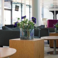 Отель West All Suite Boutique Tel Aviv гостиничный бар