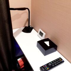 Tokyo Ariake Bay Hotel развлечения